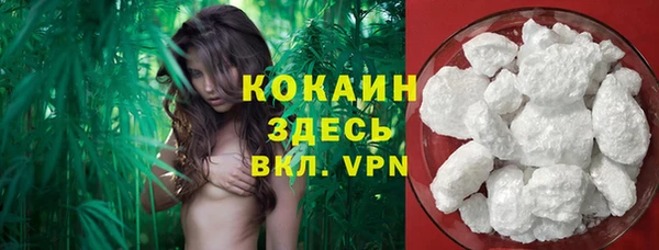 mdpv Белокуриха